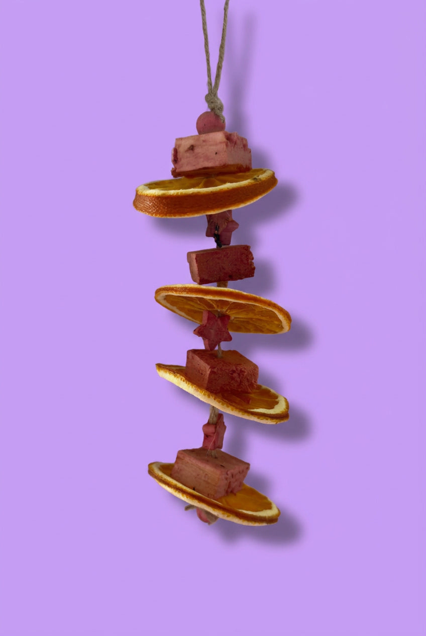 Orange & Raspberry Hanger