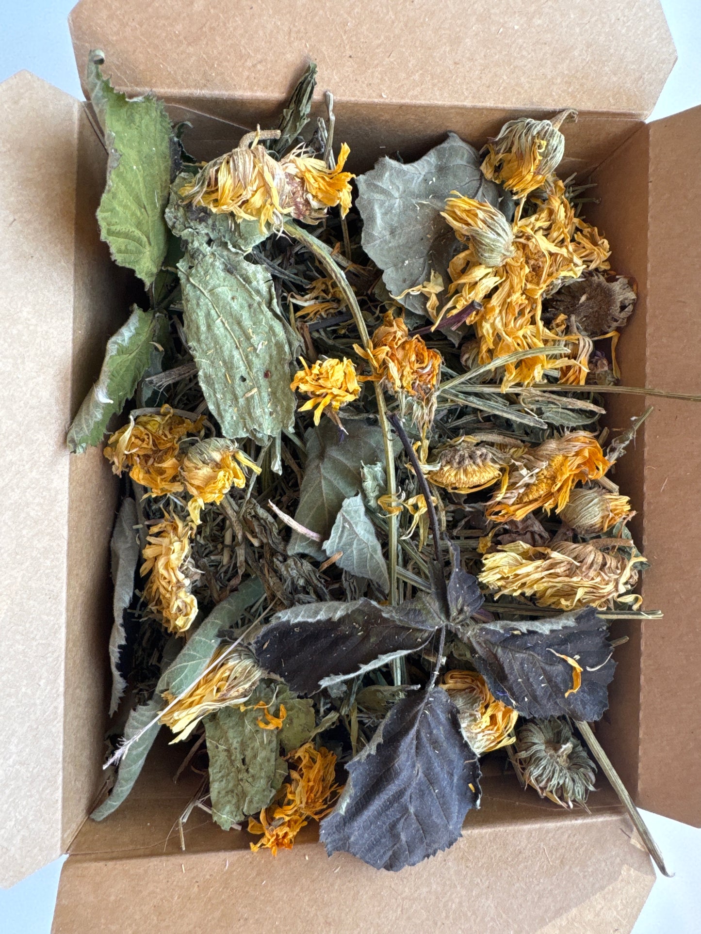 Delicious Dental Blend