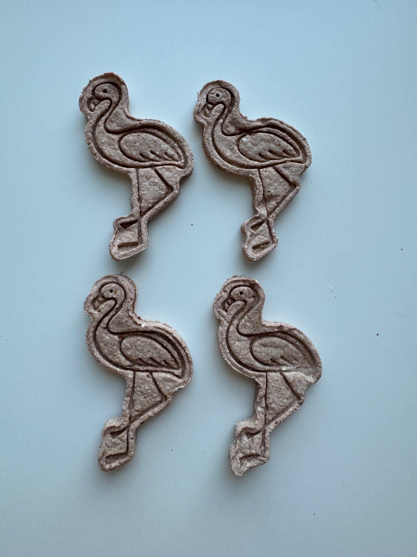 Fancy Flamingos