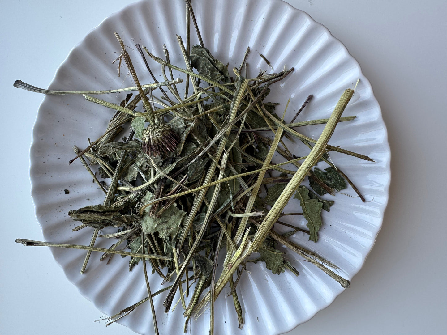 Echinacea Stems & Leaves