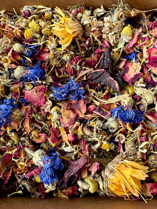 Midsummer Meadows Forage Blend