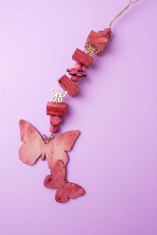 Beautiful Butterfly Hanger
