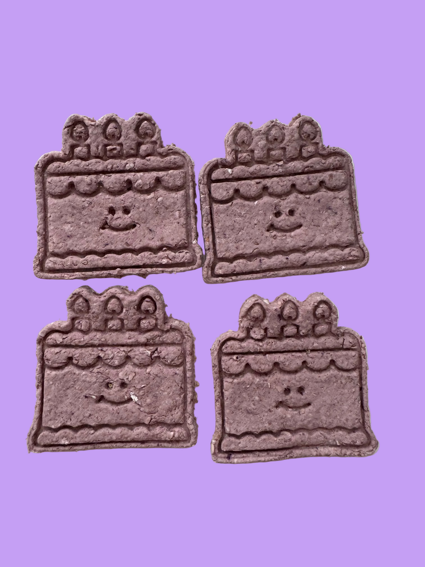 Birthday Bites