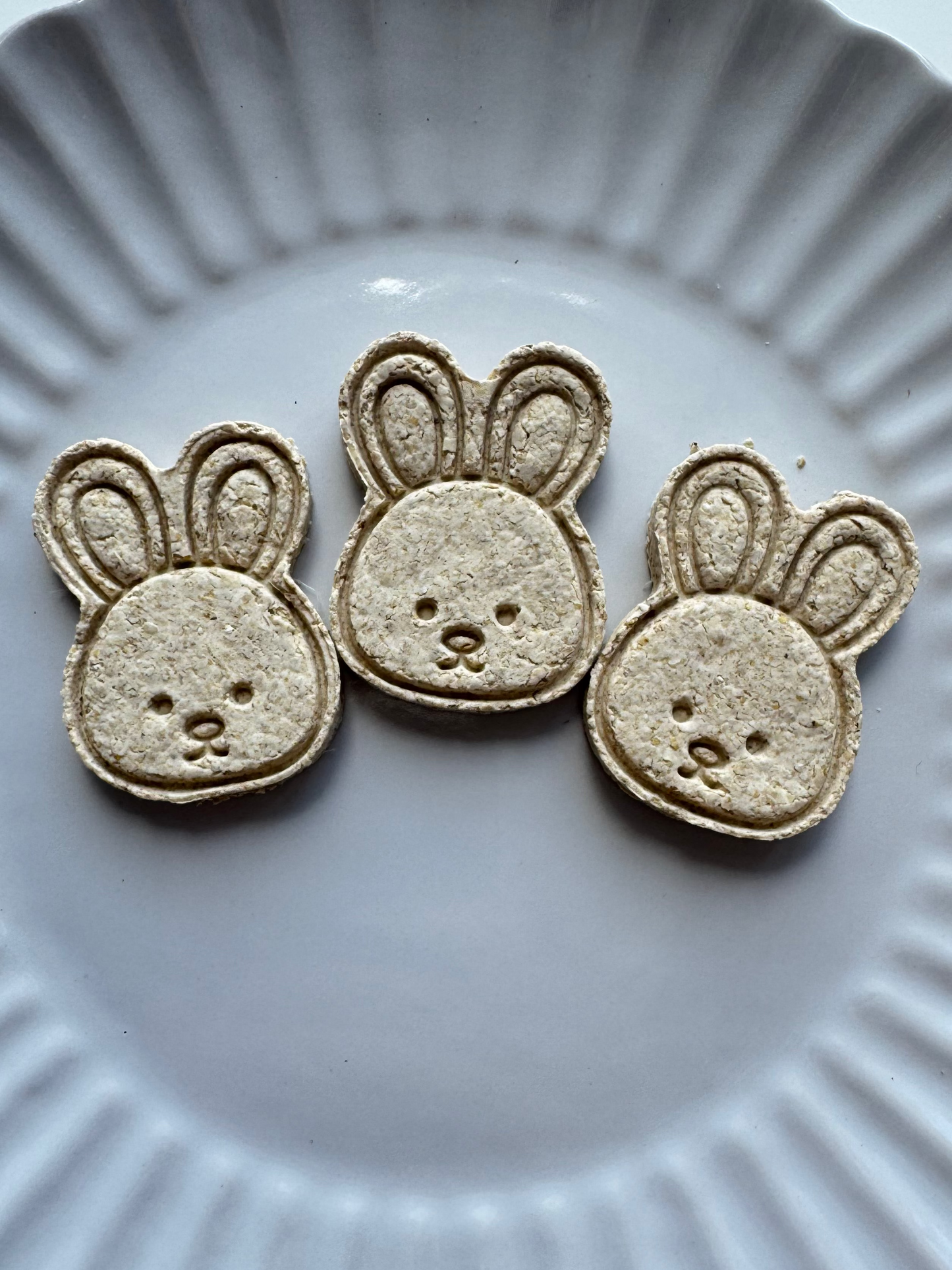Bunny Breakfast Bites
