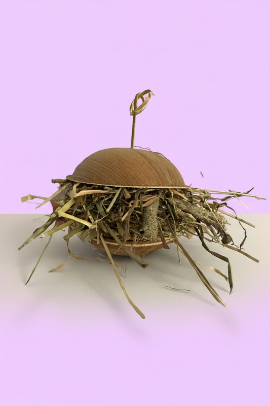 Bunny Burger